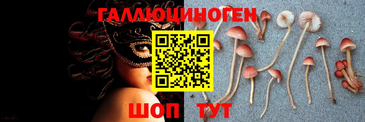 Галлюциногенные грибы мицелий  Вход с VPN  Новокуйбышевск 