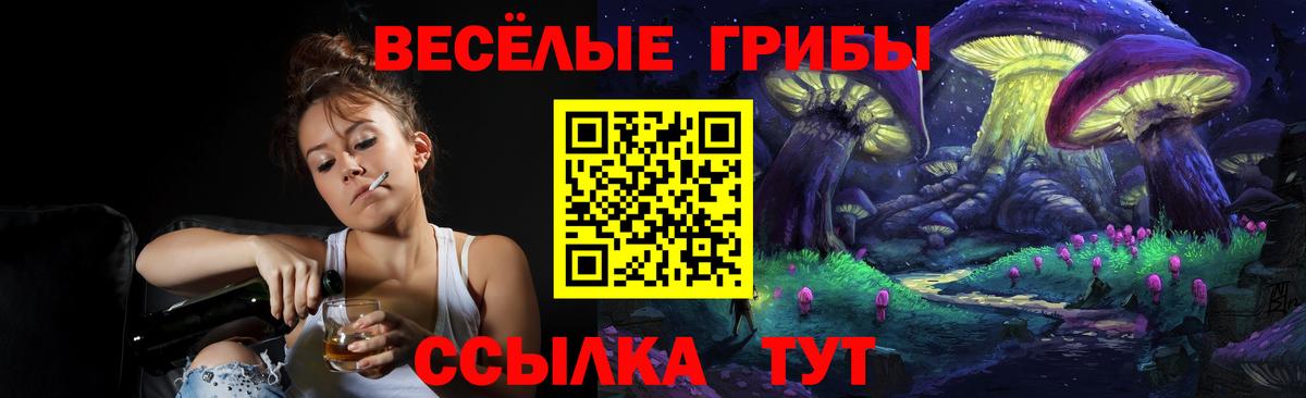 Псилоцибиновые грибы мухоморы Новокуйбышевск